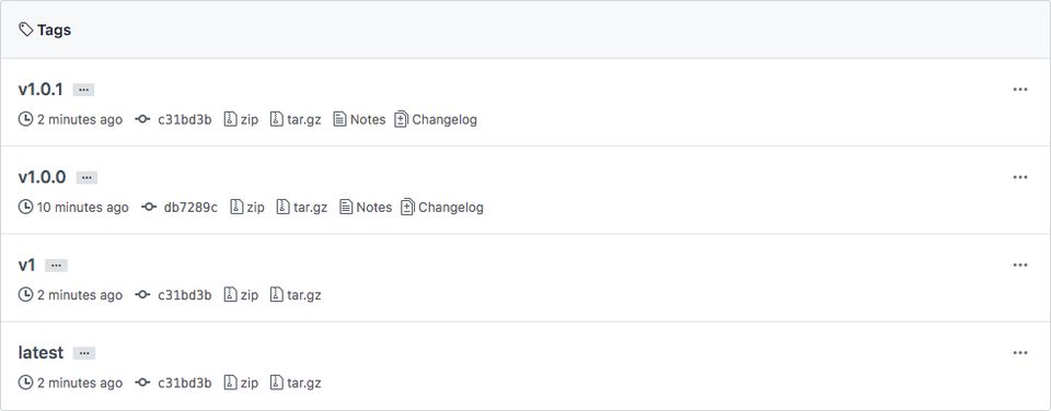 Tag list screenshot after tagging v1.0.1